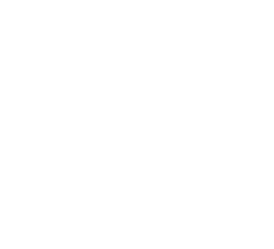Andolini's pizzeria logo white transparent